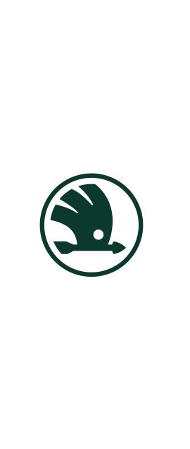 SKODA YEDEK PARÇA 